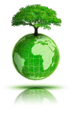 Green globe with a tree growing from it, representing recyclable packaging